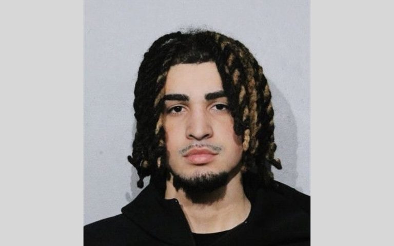 Exploring Punchmade Dev Net Worth: How He Built His Fortune