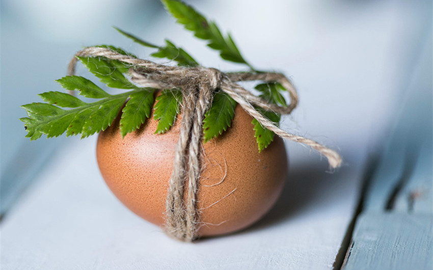 Egg