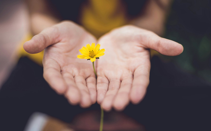 Open Hands