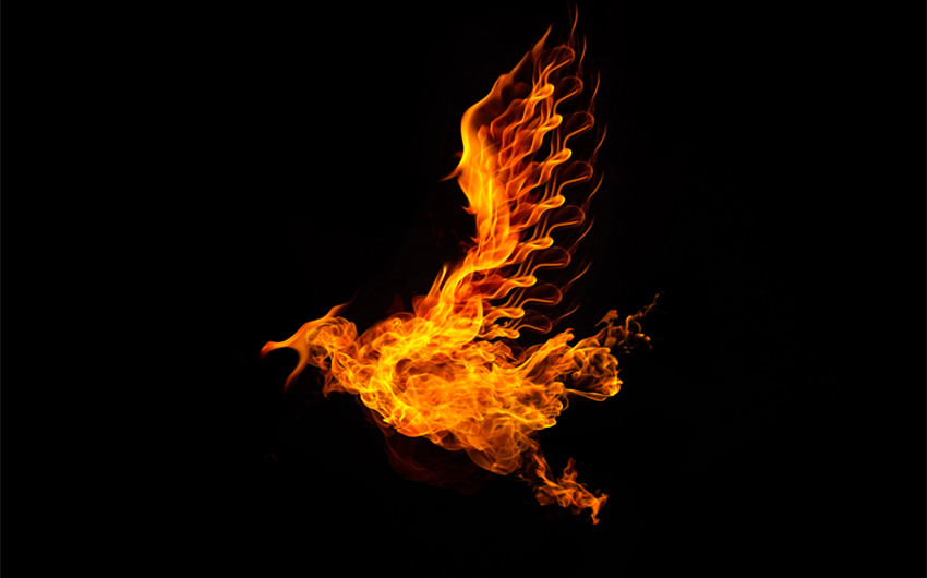 Phoenix