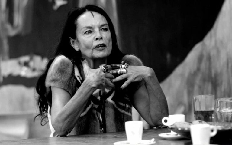 michele lamys net worth
