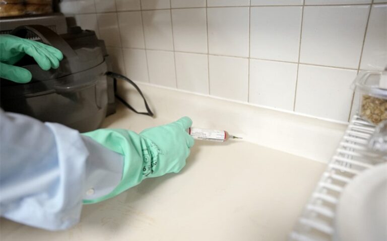 pest proofing strategies for your home