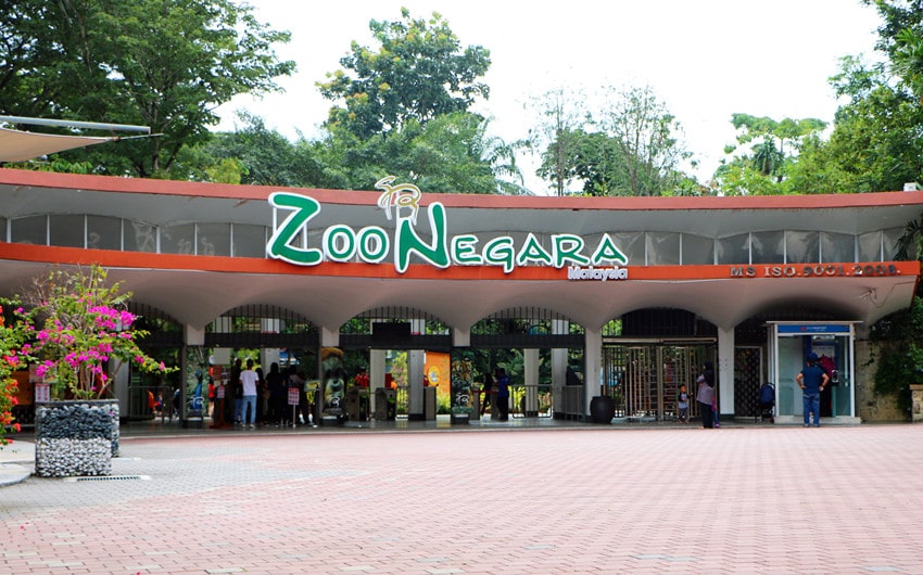zoo negara to jungle gym