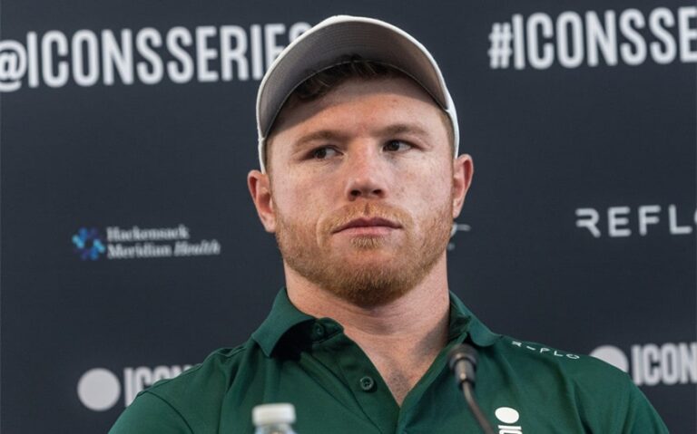 canelo alvarez net worth