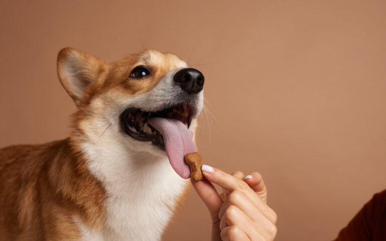 Help a Fussy Eater Relax