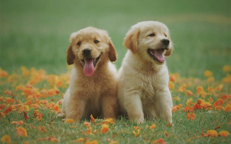 Common Conditions To Know About