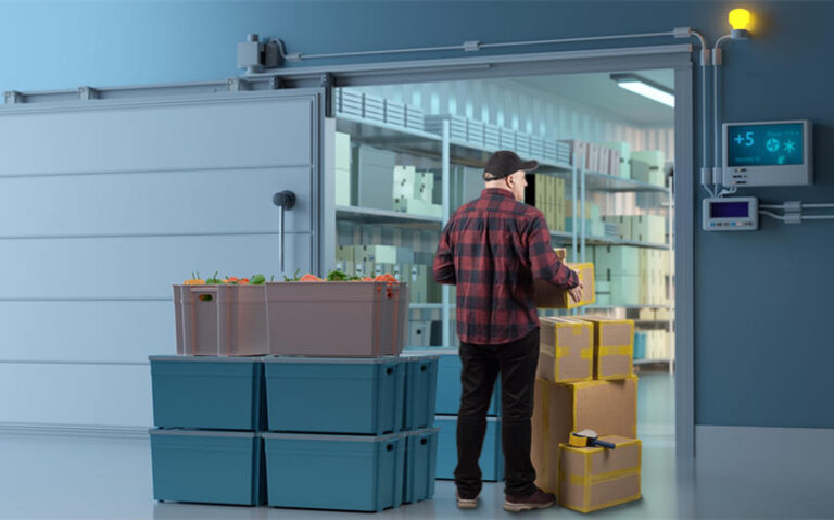 How Do Cold Food Supply Chains Work